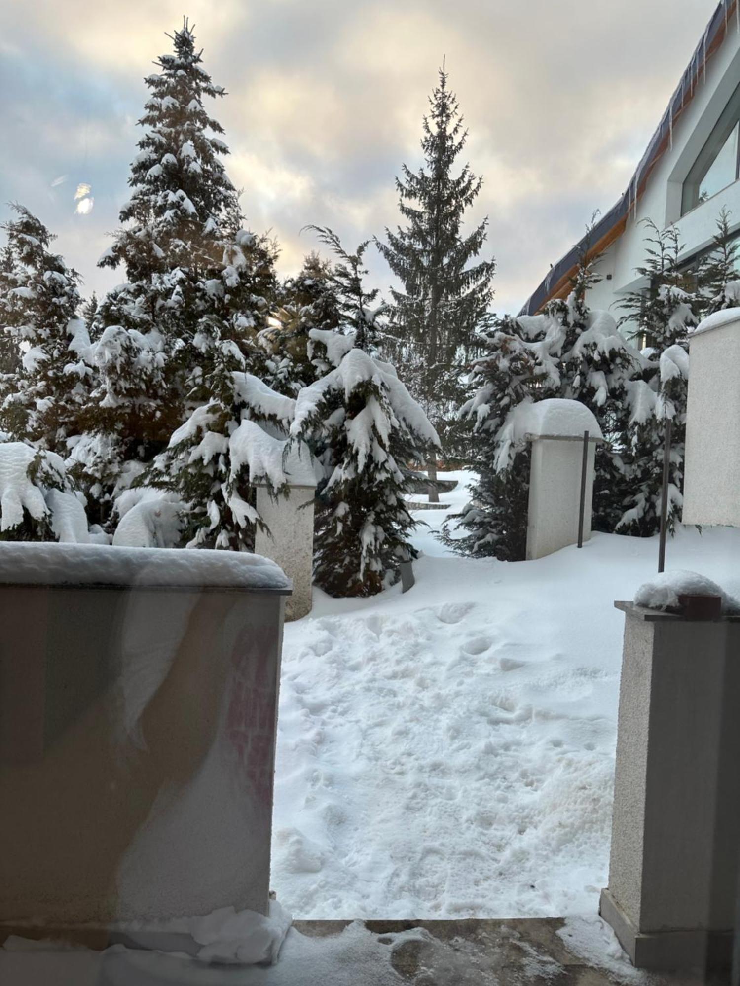 Apartament Bonton Predeal Exterior photo